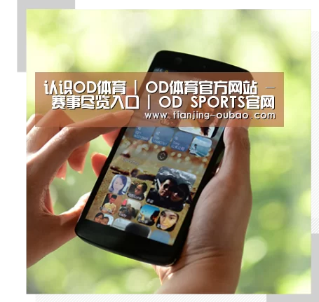 关于od体育