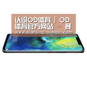 华为无线快充手机