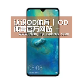 华为无线快充手机