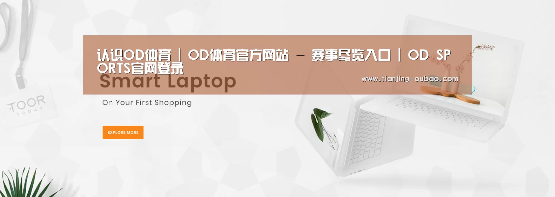 某某网络科技有限公司