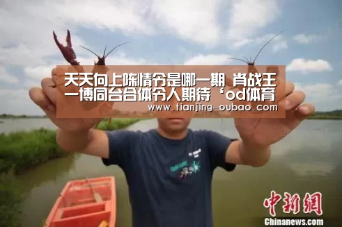 天天向上陈情令是哪一期 肖战王一博同台合体令人期待‘od体育官网’(图3) od体育官网