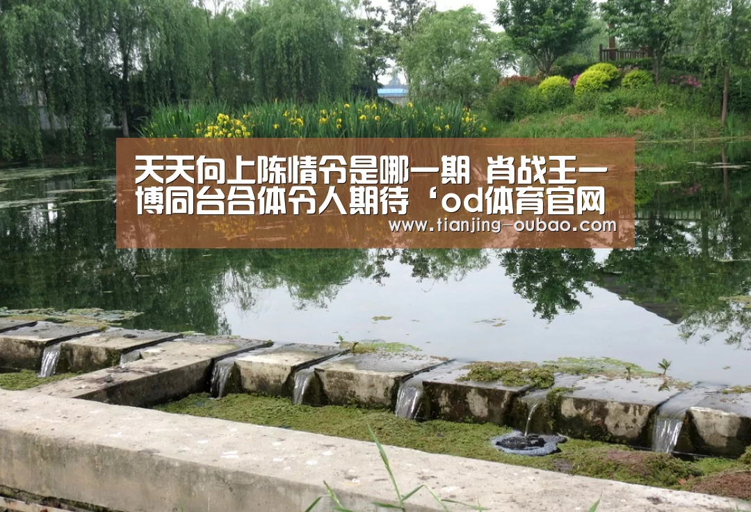 天天向上陈情令是哪一期 肖战王一博同台合体令人期待‘od体育官网’(图4) od体育官网入口