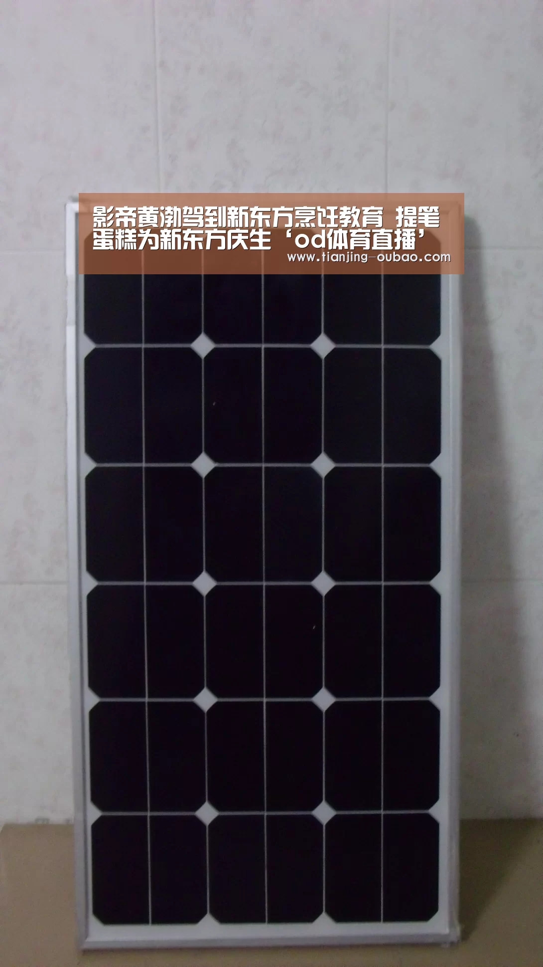 影帝黄渤驾到新东方烹饪教育 提笔蛋糕为新东方庆生‘od体育直播’(图4) od体育直播