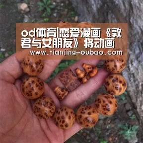 od网址