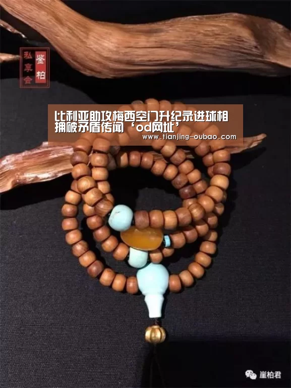 od体育官网入口