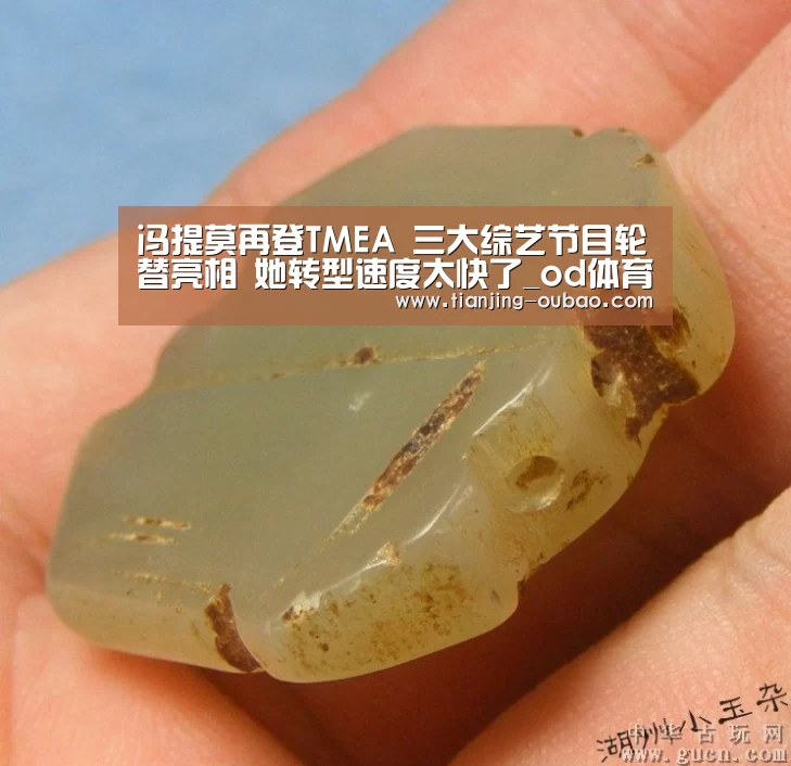 冯提莫再登TMEA 三大综艺节目轮替亮相 她转型速度太快了_od体育(图1) od体育官网入口